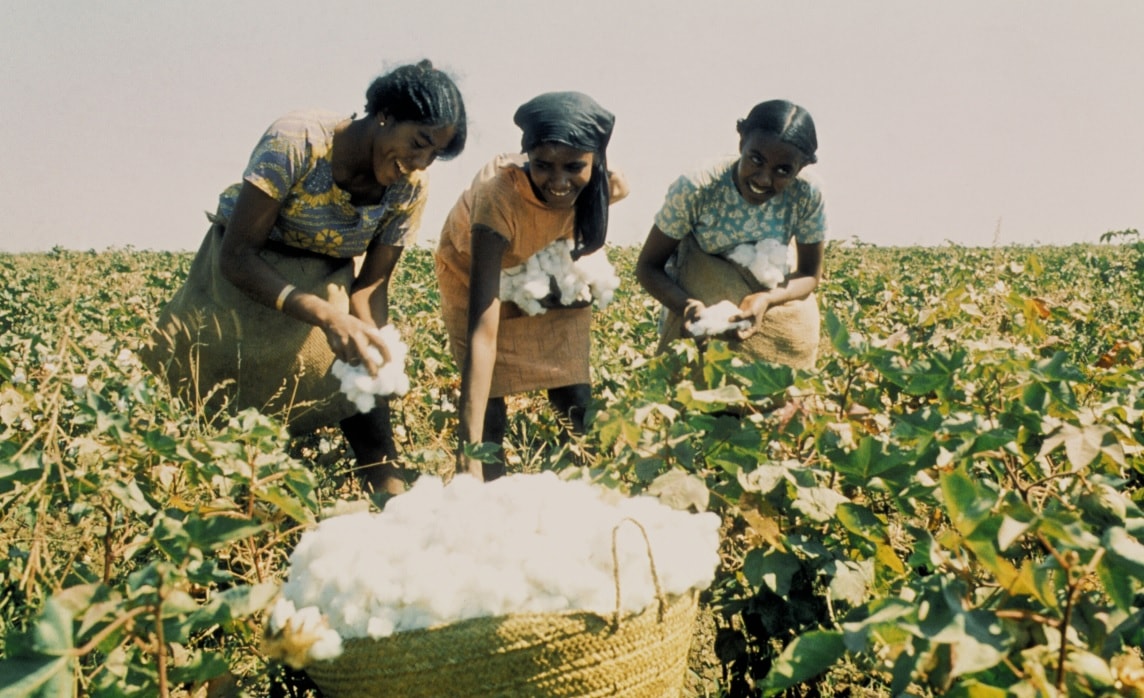 FAO: From a Technical to a Highly Politicized Agency