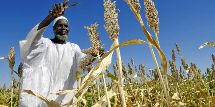 FAO: A Descent into Hell