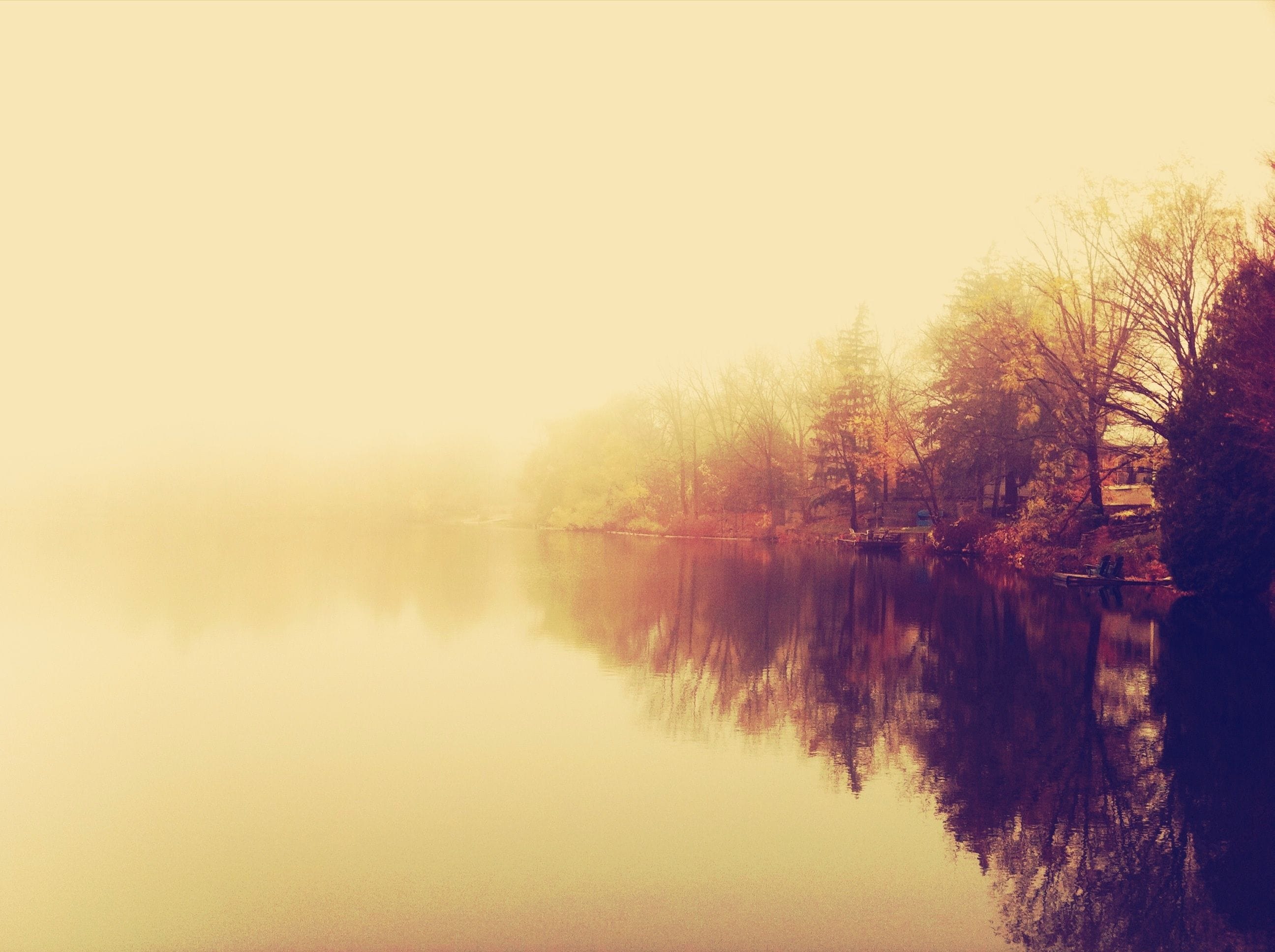 “Diary of a Positive Soul” – The Wizard