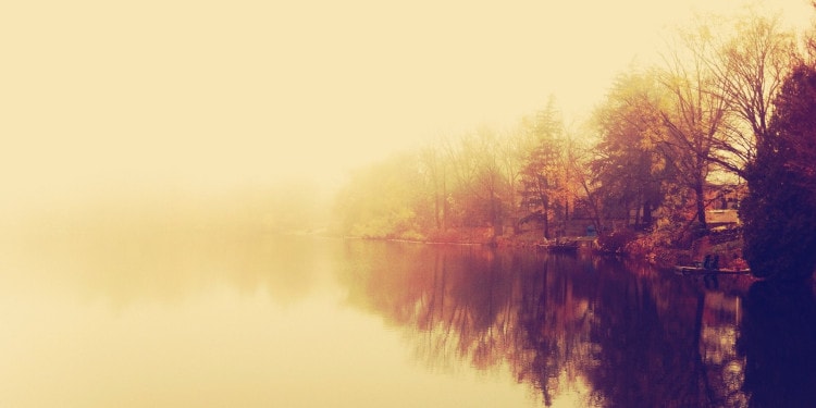 “Diary of a Positive Soul” – The Wizard