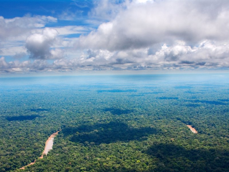 stop-the-destruction-of-the-ecuadorian-amazon