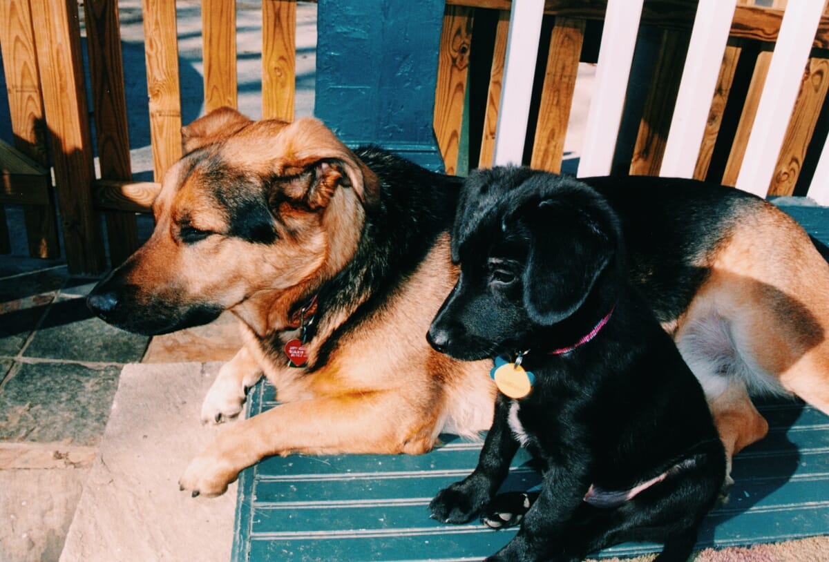 “Diary of a Positive Soul – #3 “