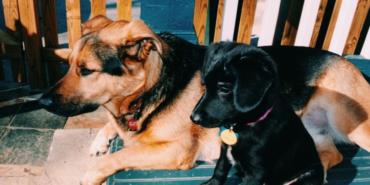 “Diary of a Positive Soul – #3 “