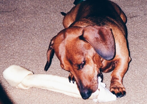 Processed with VSCOcam with hb1 preset