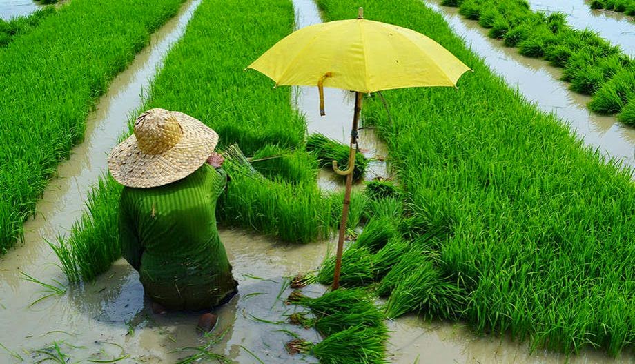 ICN2: Where a Pope, a Queen, a King, a Princess and Melinda Gates Come Together