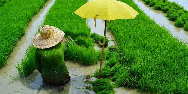 ICN2: Where a Pope, a Queen, a King, a Princess and Melinda Gates Come Together