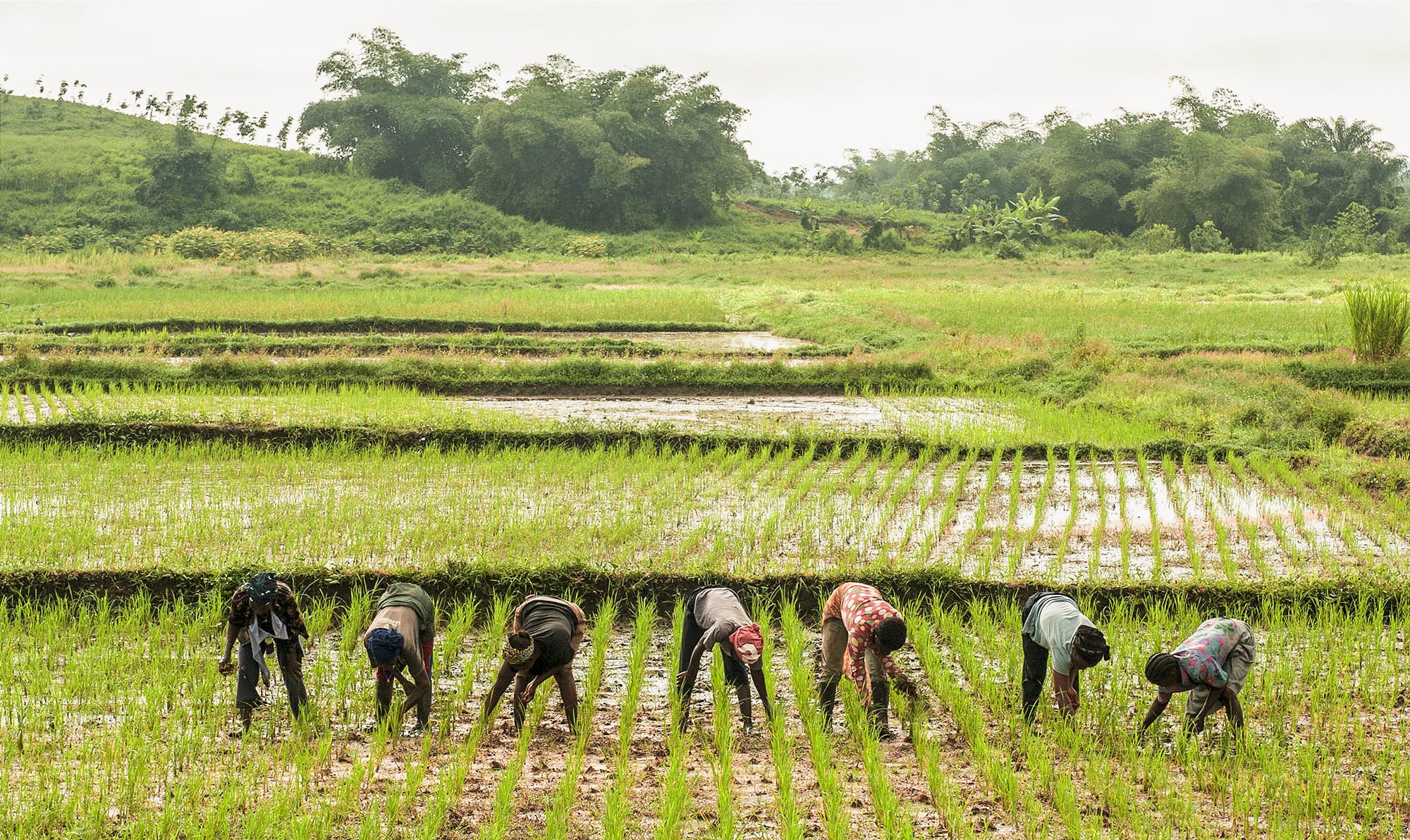 Keeping Up the Focus