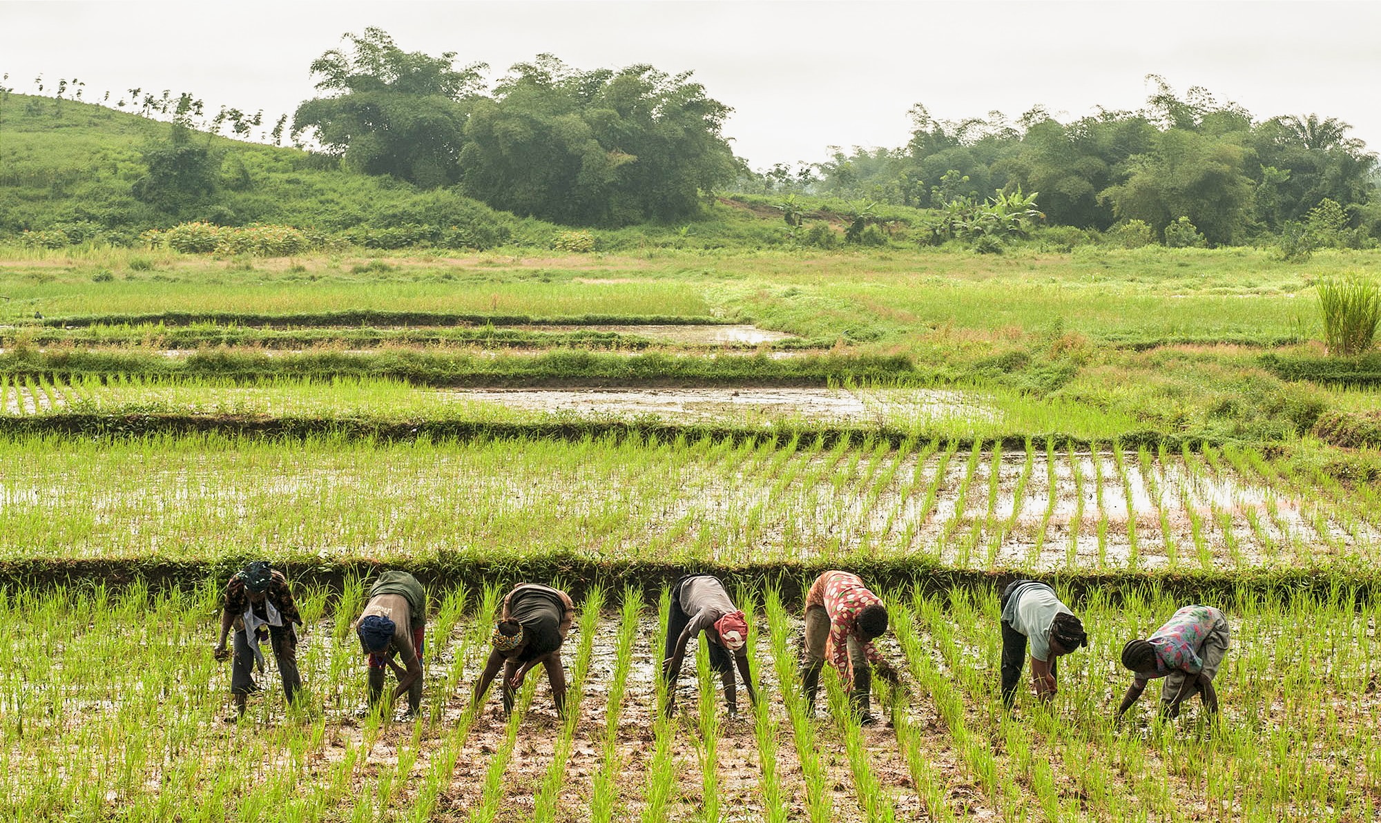 Keeping Up the Focus