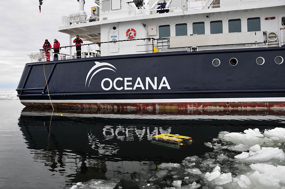 5653531445_04f1d3996e_o