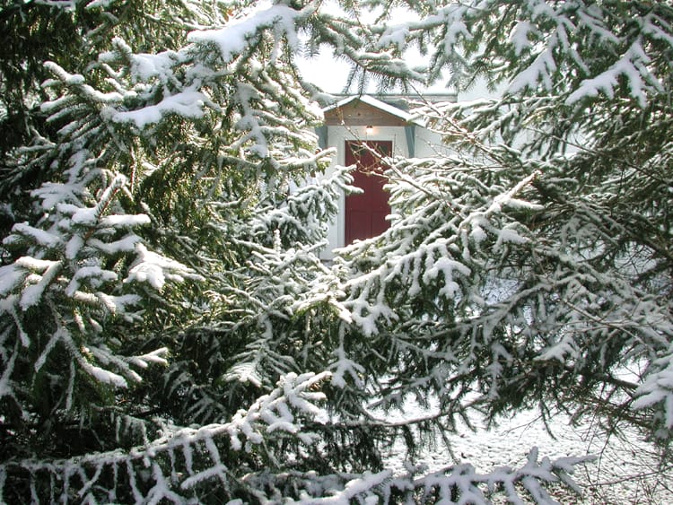 Memories are for Christmas