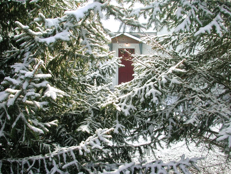 Memories are for Christmas