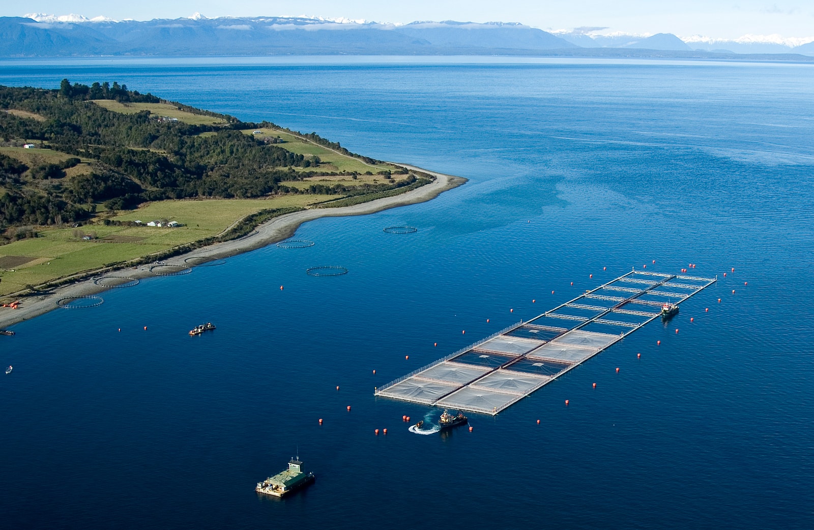 bigstock-Salmon-Cages-On-Islands-In-Sou-22812203