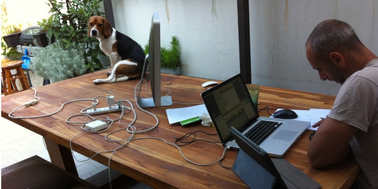 Bauwow, the App – The Founders interview