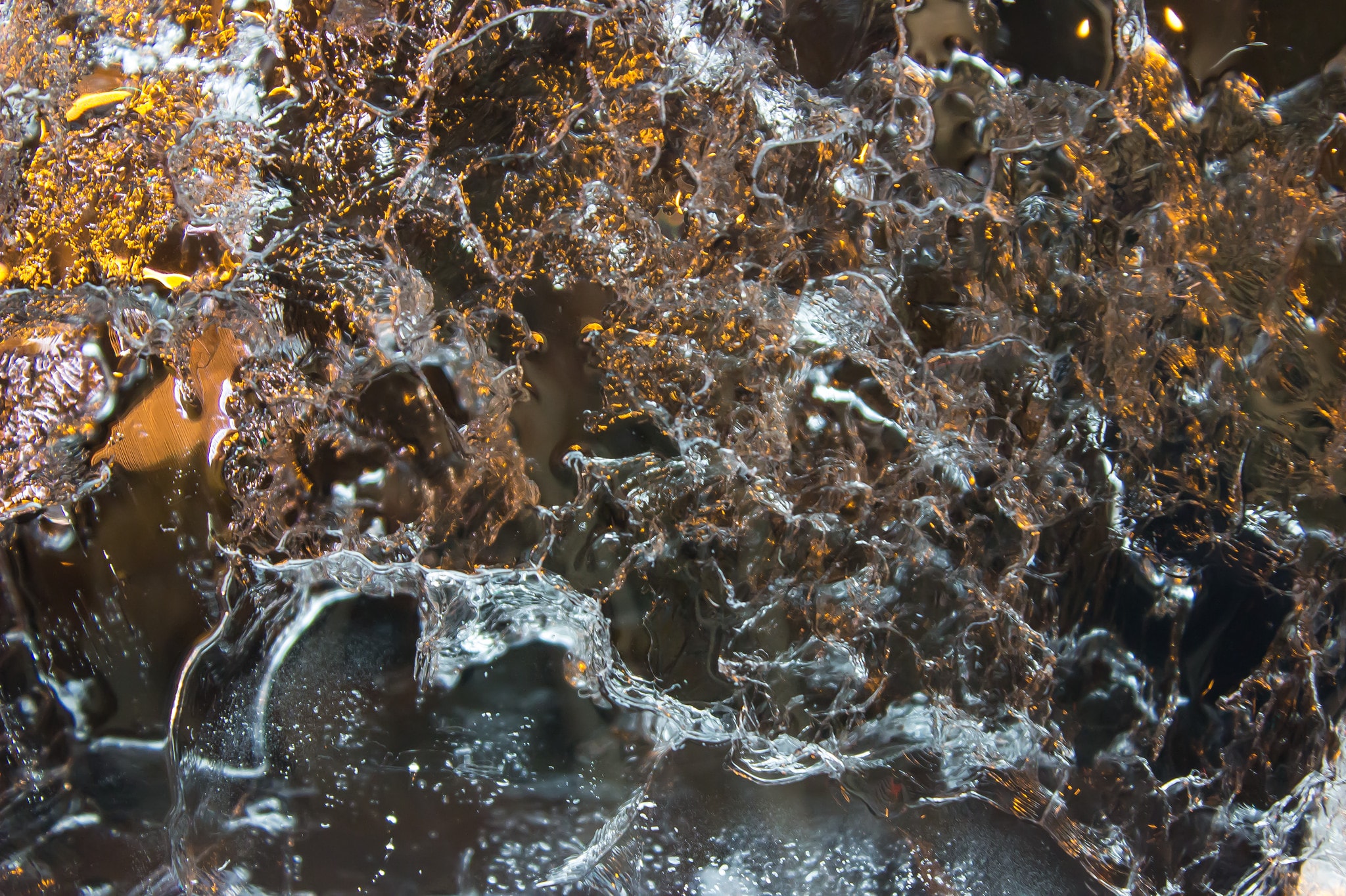 Marshall Reese & Nora Ligorano- Interview