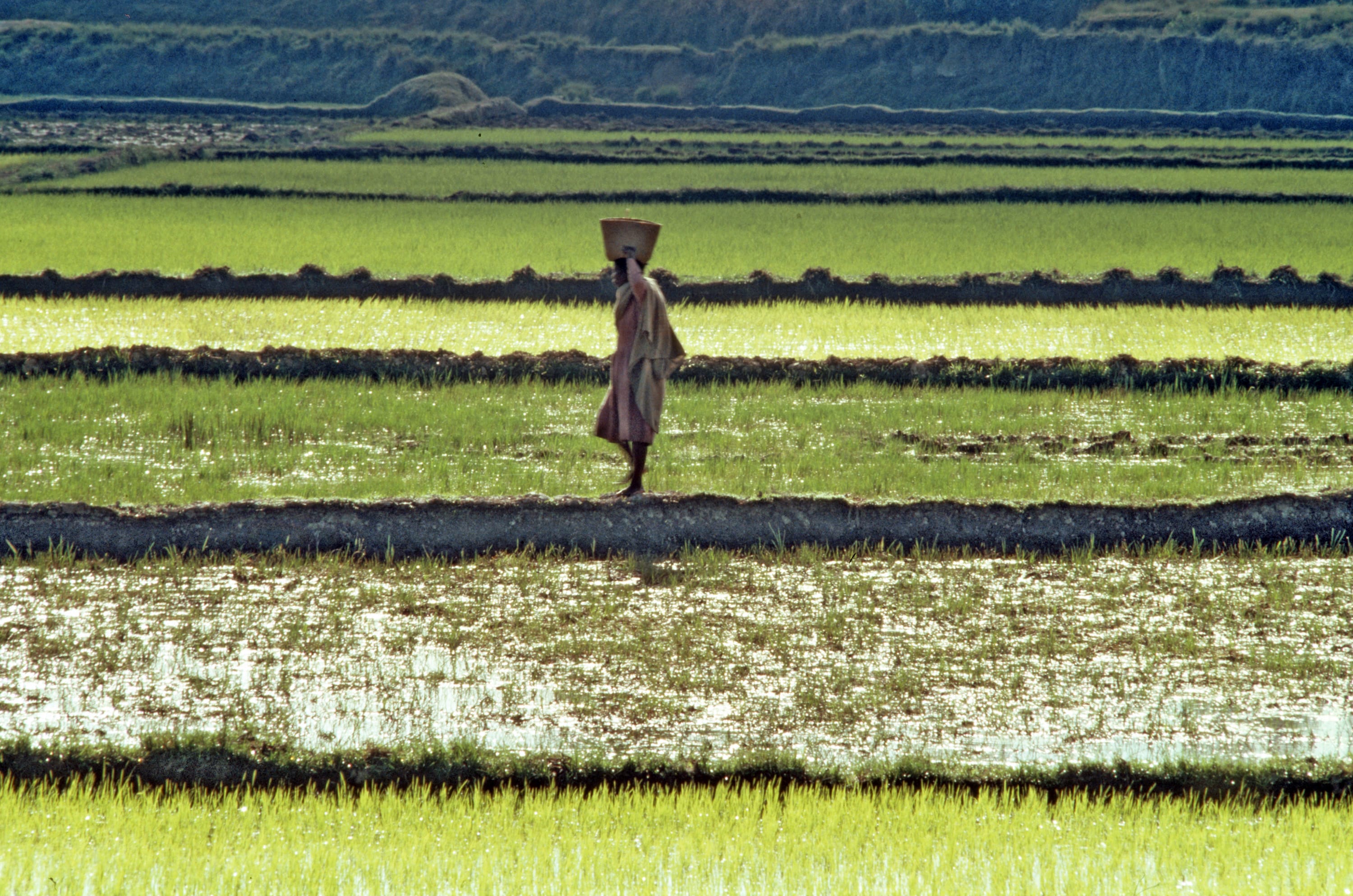 Innovations in Food Production – An Urgent Need