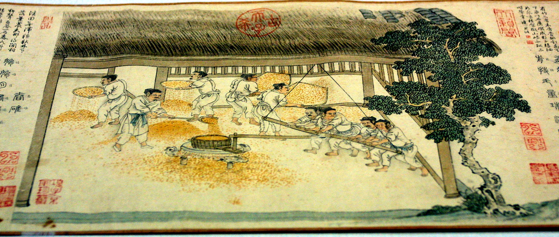 Paving over the Silk Road