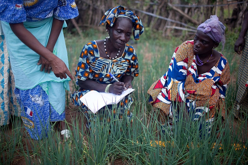 15959593960_4c26f0f6fc_c