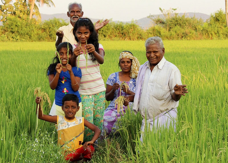 16666731076_728ac1f689_c