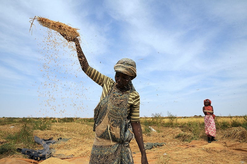 8231261814_ae30ec85d2_c