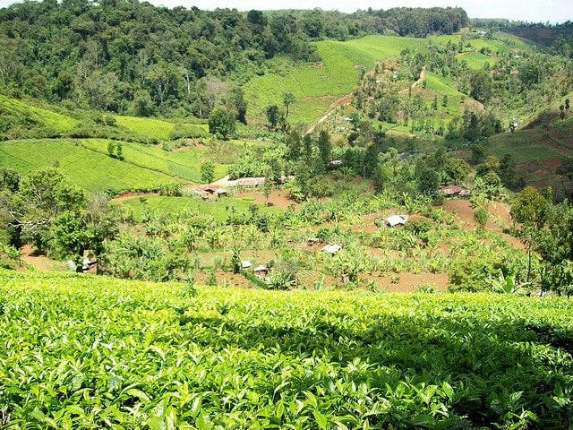 3098775782_24e2d2da36_z