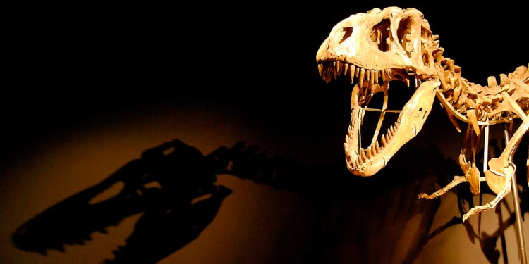 Resurrection of Ancient Animals and Plants: Is Man next?