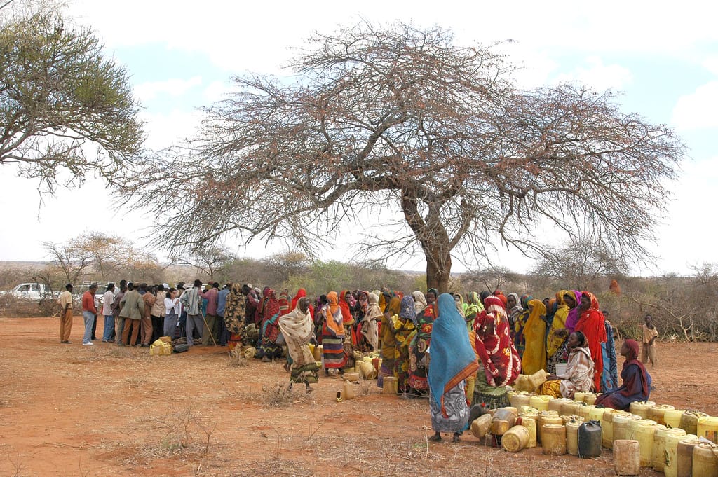 Warka Water – A Possible Solution?