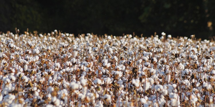 Sustainable fashion – Today and tomorrow