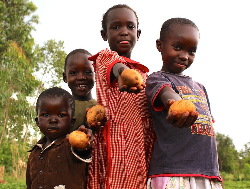 16691349311_333ae2bd56_c