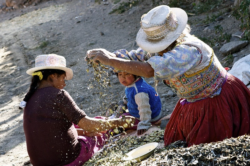 16692692525_9ec28eacfa_c