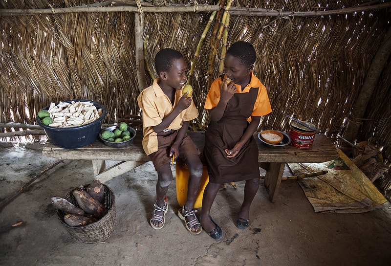 20046367832_77e79da06f_c