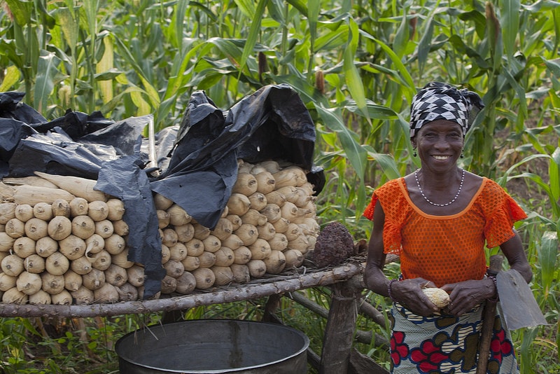 20054313775_a7e53c9ca9_c