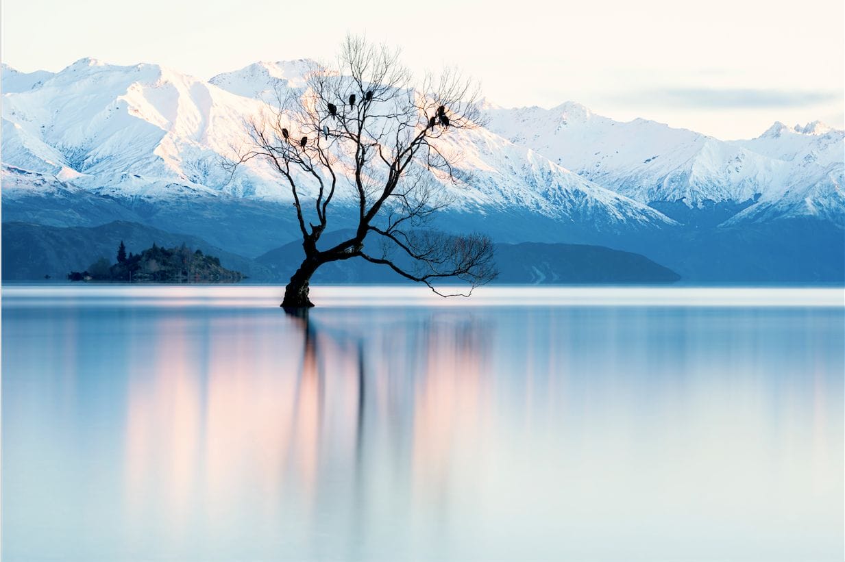 "The light is always beautiful, the beautiful alpine lakes, the beautiful blue water, the trees, the snow, the frost, and snow-capped mountains."