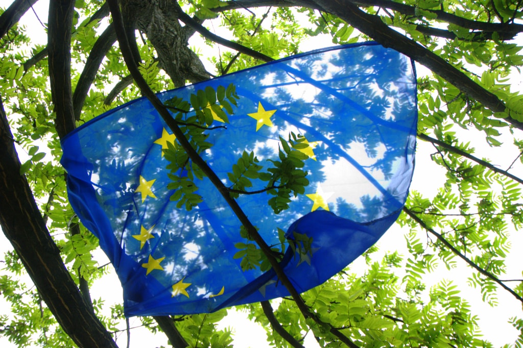 Diary of a Green Startup: The mystery of European Intellectual Property