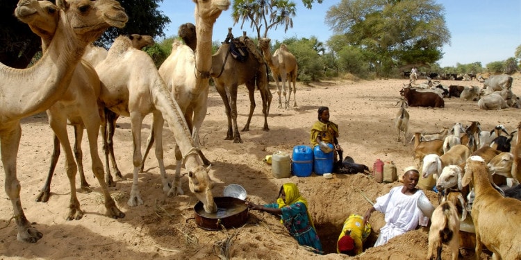H₂O Stories: Interview with Bob Sandford, The United Nations Voice for Water