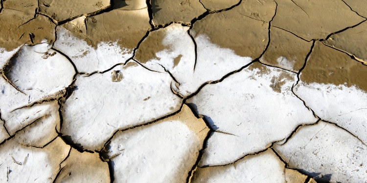 The Battle for Water