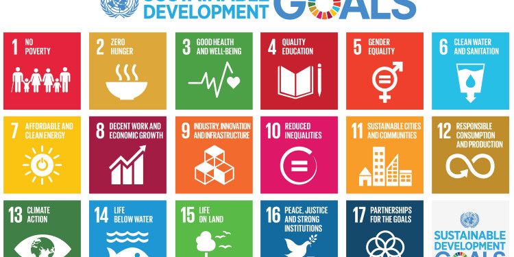 17 UN Sustainable Development Goals