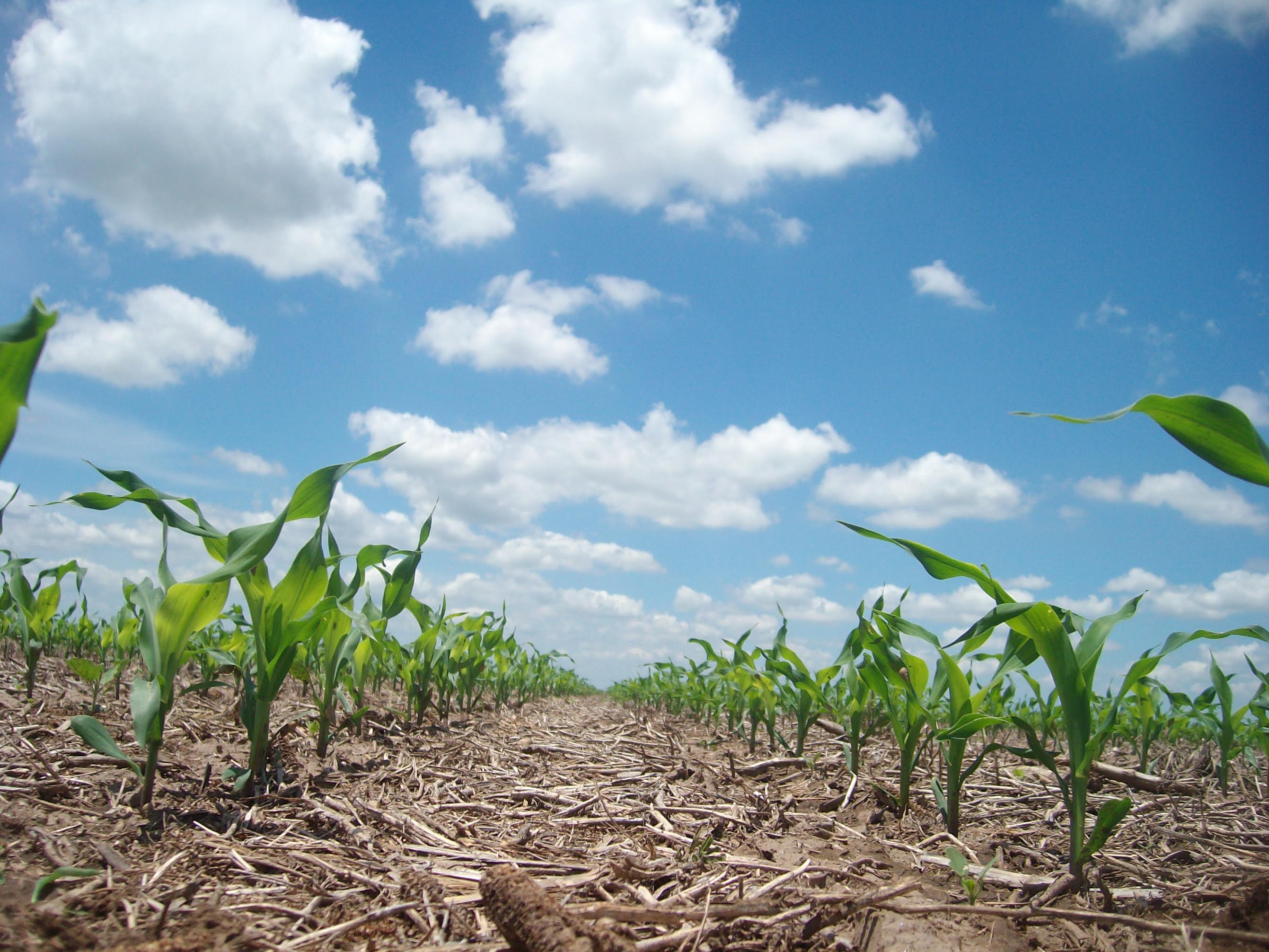 What Is Happening To Our Soil?