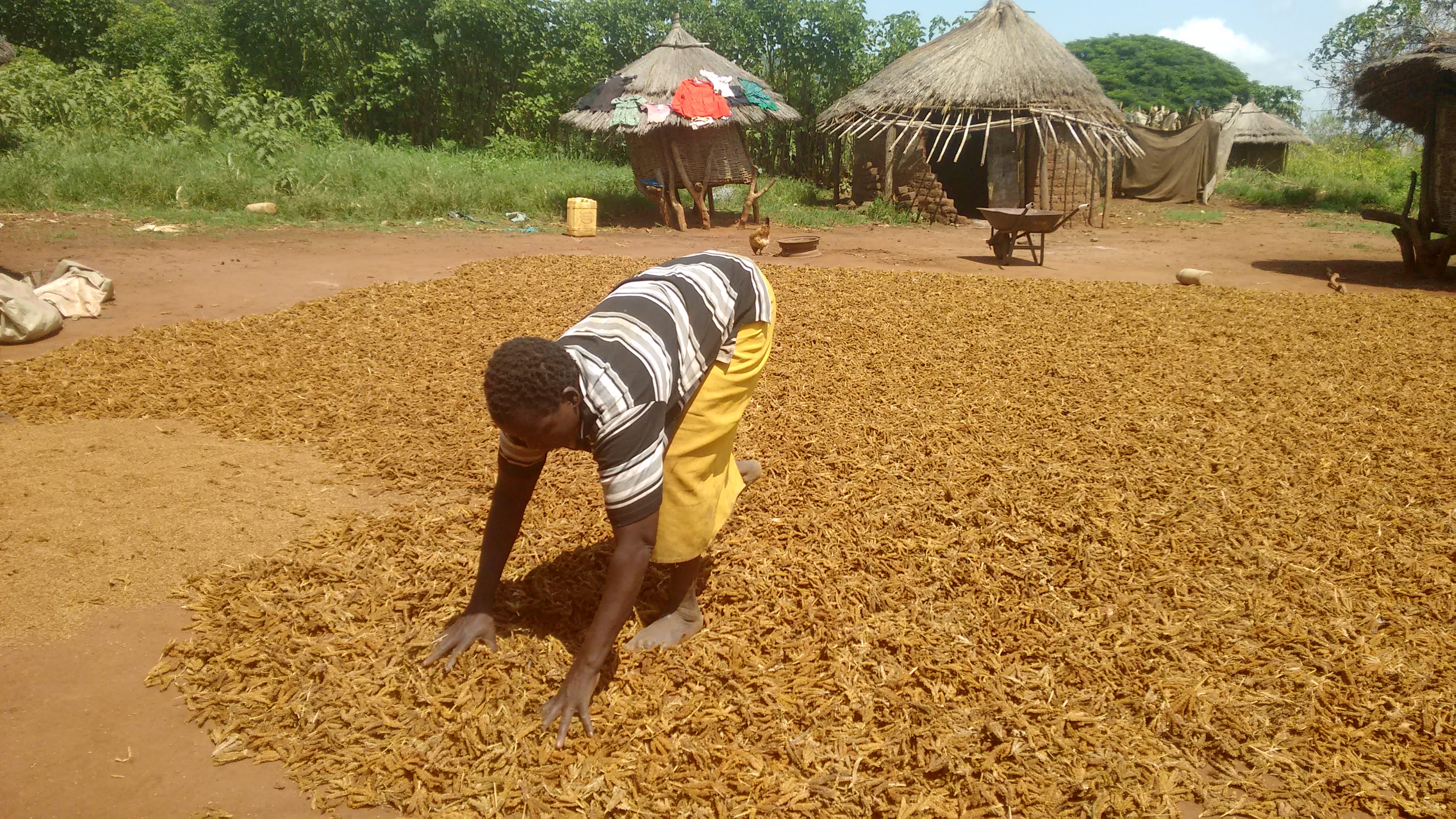 Resilience-building: A Paradigm Change in Development Aid