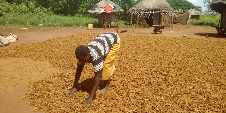 Resilience-building: A Paradigm Change in Development Aid