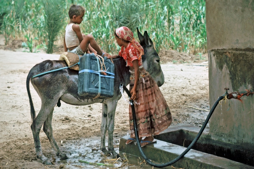 H₂O Stories: The Upcoming Water Crisis – Advice from Professor Michael Klein