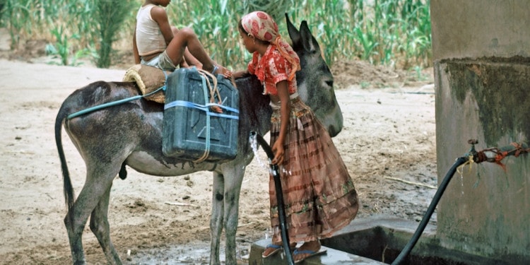 H₂O Stories: The Upcoming Water Crisis – Advice from Professor Michael Klein