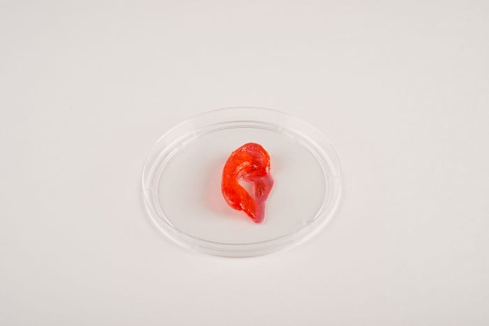 In the Photo: Van Gogh's ear made with Biobot 1 3D printer