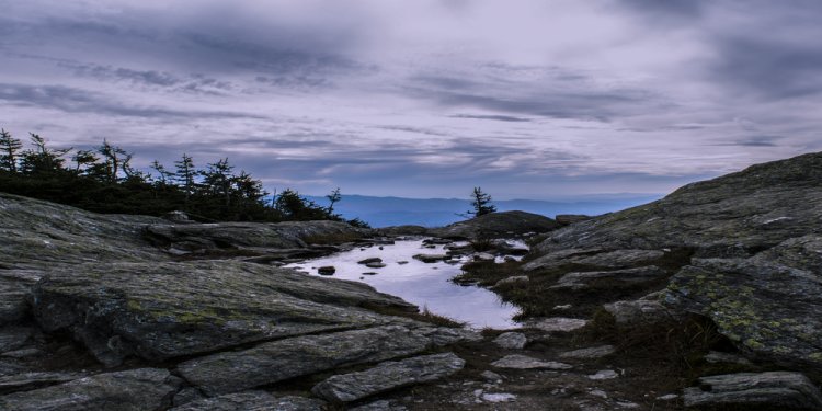 Seeing the World Through the Lens of a Photographer