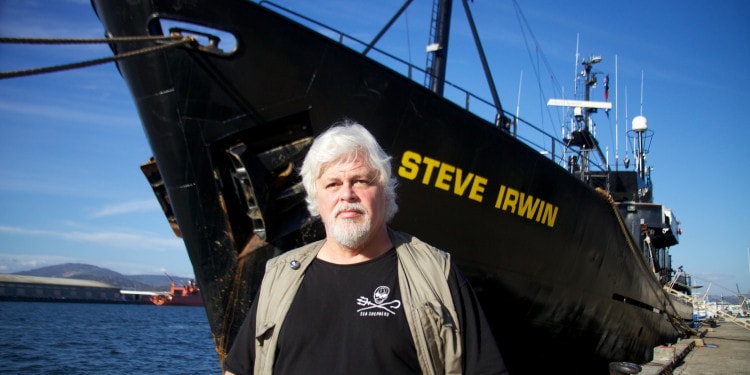 You Can’t Destroy A Movement: Interview With Captain Paul Watson