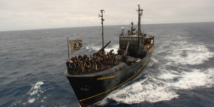 You Can’t Destroy a Movement: Interview with Captain Paul Watson Part III