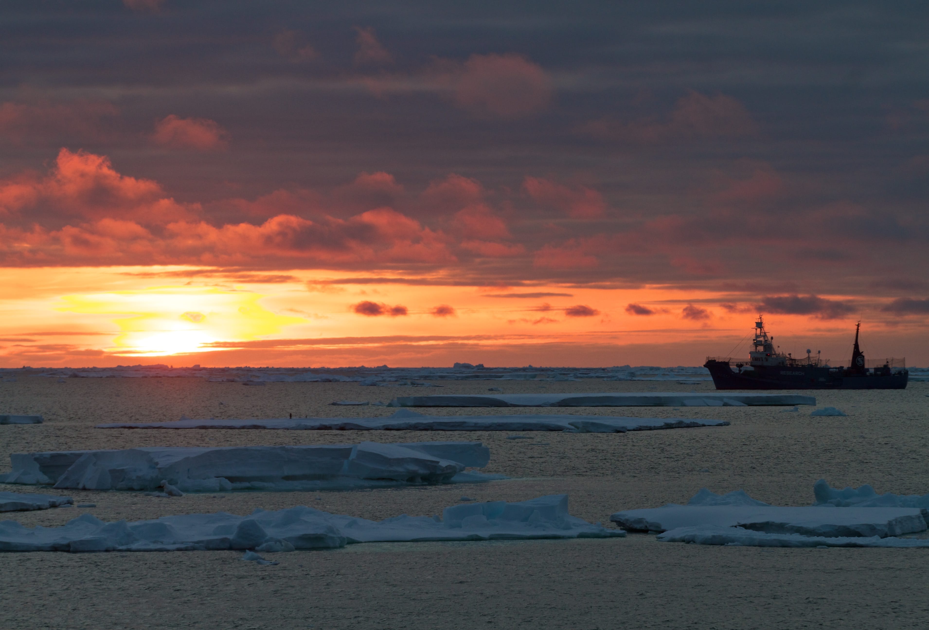 You Can’t Destroy a Movement: Interview with Captain Paul Watson Part II