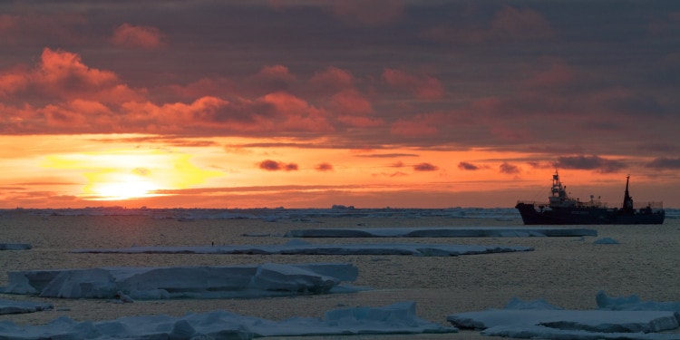 You Can’t Destroy a Movement: Interview with Captain Paul Watson Part II