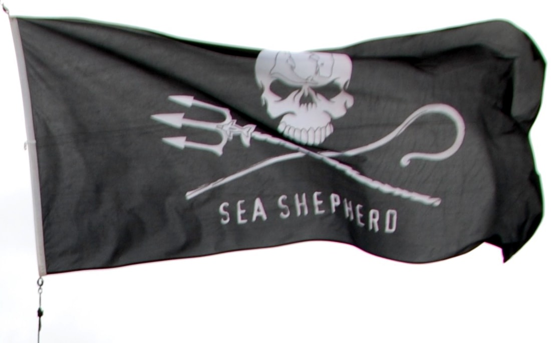 3264148815_c9008a052d_o