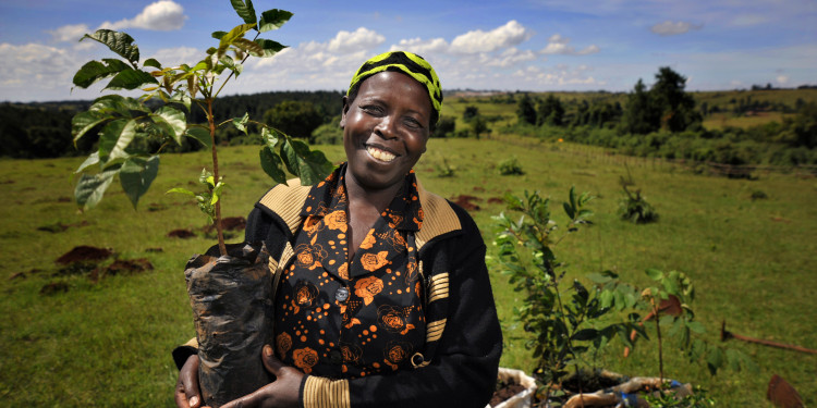 United Nations Forum on Forests Photo Competition

1 of 6 winning photos

Image title: Face of the Mau: Community Leader Planting Trees

Info:  Grace is a farmer from Kipilat village and a leading member of the forest community in Ainabkoi. Grace, works on a voluntary basis to support efforts to protect the forest. She provides both material support to Kenya Forest Service rangers and where possible gives information to the authorities on the activities of illegal loggers. This photo was part of an exhibition which featured portraits of people who depend on the Mau Forest in Kenya, one of the countryÕs most important water towers.