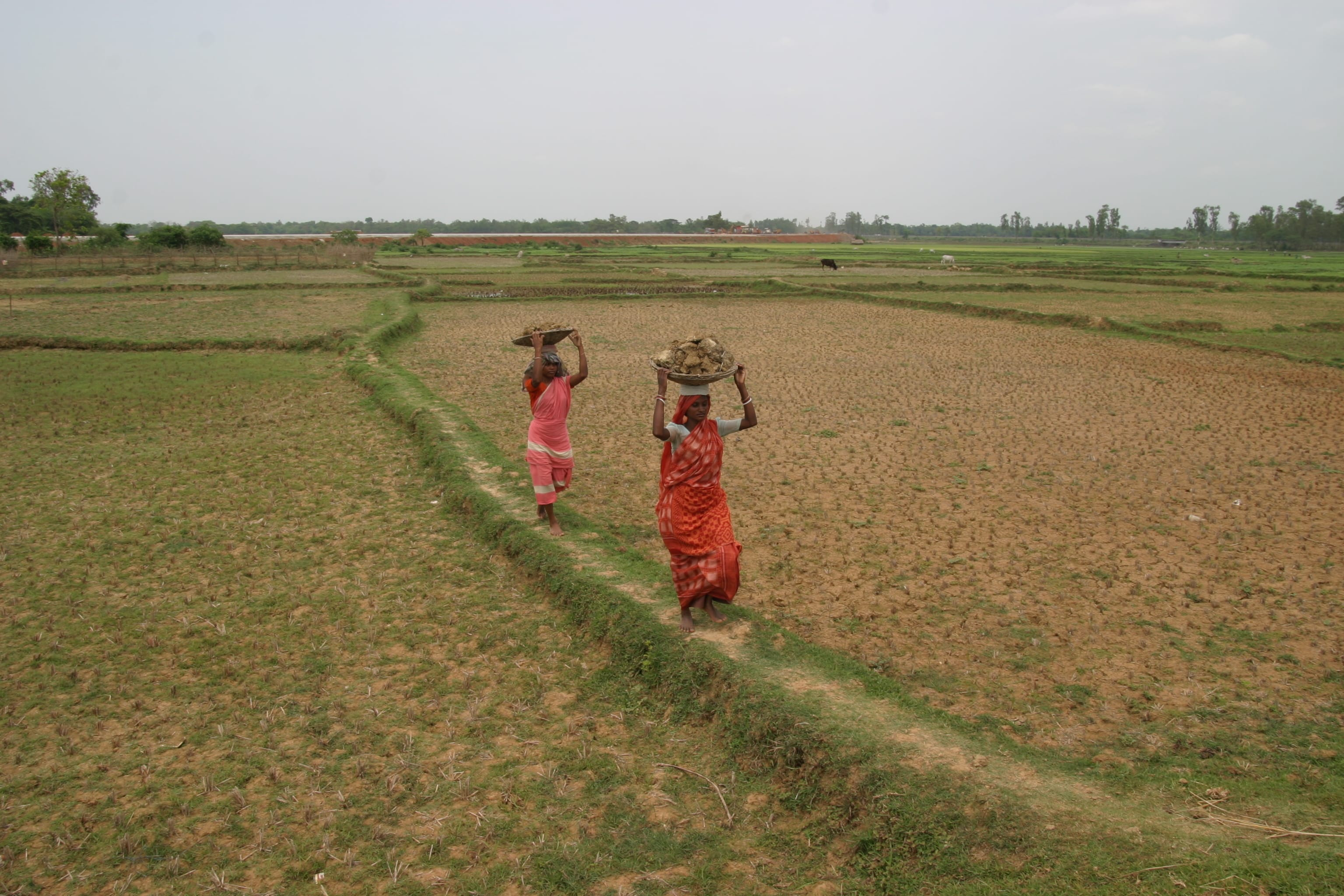 Helping to Invest More and Better